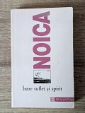 Constantin Noica, &Icirc;ntre suflet și spirit; Publicistică, II (1930-iunie 1934)