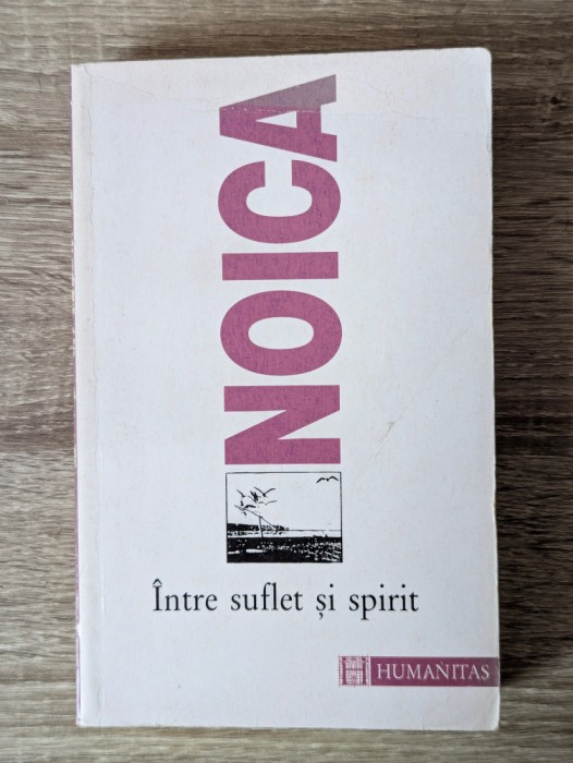 Constantin Noica, &Icirc;ntre suflet și spirit; Publicistică, II (1930-iunie 1934)
