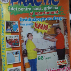 Revista PRACTIC IDEI pentru casă, grădină și apartament - noiembrie 2004