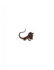 Figurina Soparla Frill Necked L Collecta