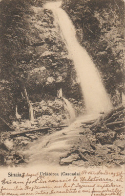 1910 CP ilustrata Sinaia - Cascada Urlatoarea, stampila CFR POIANA TAPULUI HALTA foto