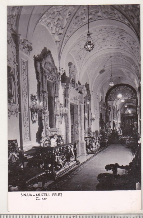 bnk cp Sinaia - Muzeul Peles - Culoar - necirculata