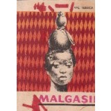 Malgasii. Enigmatica tara a lunii