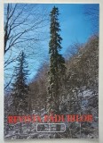 REVISTA PADURILOR , REVISTA TEHNICO - STIINTIFICA , ANUL 126 , NUMARUL 2 , 2011