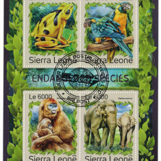 SIERRA LEONE 2016 - Fauna, specii in pericol/ colita noua