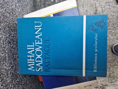 Baltagul vintage foto