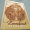 LUCEAFARUL DE LA LAINICI DE GEORGE CRASNEAN