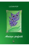 Amiaza Perfecta - Lucian Pop