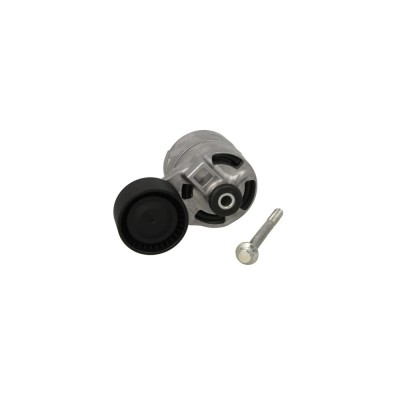 Intinzator curea FORD TRANSIT bus DAYCO APV2836 foto