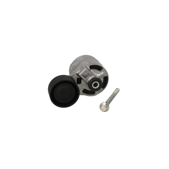 Intinzator curea FORD TRANSIT platou sasiu DAYCO APV2836