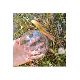 10 bucăți bile din plastic transparente goale de 10 cm pentru umplere manuală, pentru brad de Crăciun, decor pentru casă