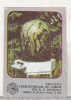 Bnk cld Calendar de buzunar 1981 - Asociatia crescatorilor de albine