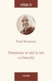 Emil Brumaru - Dumnezeu se uită la noi cu binoclul ( Opere, vol. IV ), Polirom
