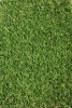 Covor Gazon Iarba Artificiala Jakarta 20 mm Latime 1 m - 100x400, Verde