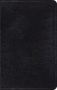 Classic Thinline Bible-Esv