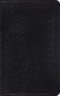 Classic Thinline Bible-Esv