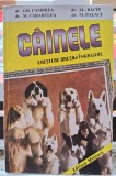 Cainele Crestere Dresaj Ingrijire