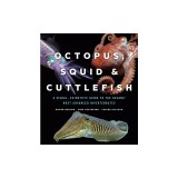Octopus, Squid, and Cuttlefish: A Visual, Scientific Guide to the Oceans&#039; Most Advanced Invertebrates