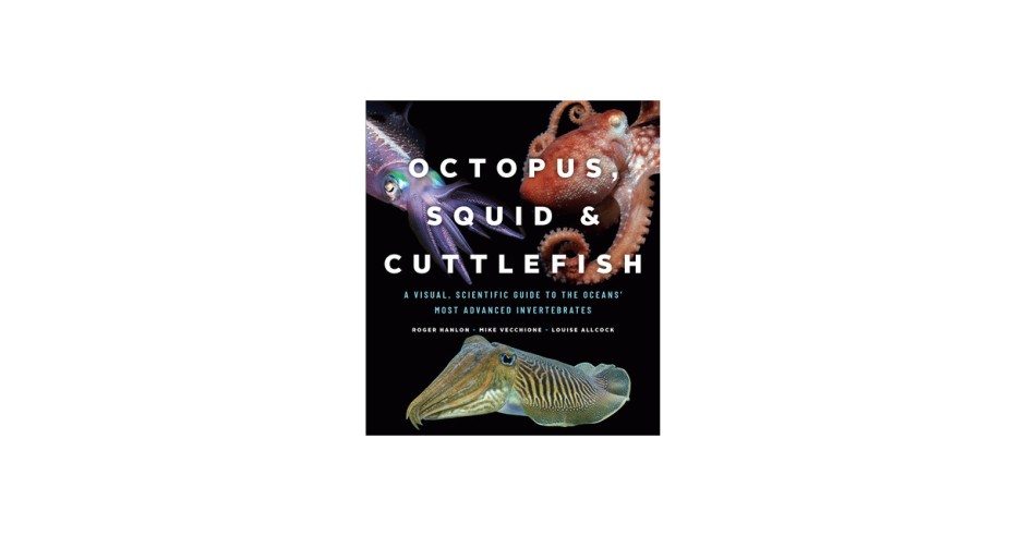Octopus, Squid, and Cuttlefish: A Visual, Scientific Guide to the ...
