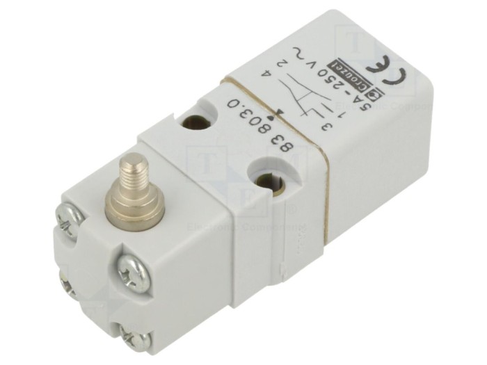 Limitator cursă SPDT IP55