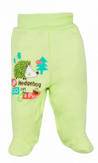 Pantaloni cu botosei pentru bebelusi-Koala Jezyk 3233-V, Verde foto