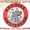 Steag fotbal - AJAX AMSTERDAM (Olanda)