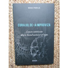 Mihai Fratila - Curajul de-a improviza