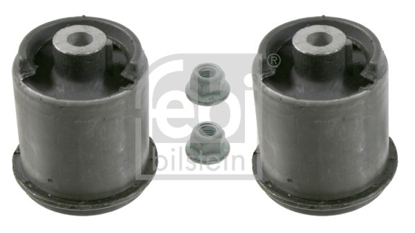 FEBI BILSTEIN 19930 Set rulmenti, corp axa