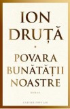 Povara bunatatii noastre - Ion Druta