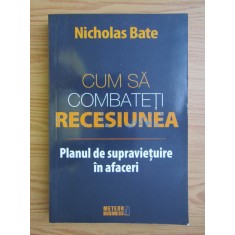 Nicholas Bate - Cum sa combateti recesiunea