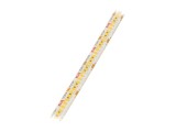 Bandă LED alb cald 240 LED/m IP65 4,3W/m - KLUŚ