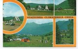 CPI B 11097 CARTE POSTALA - STATIUNEA CLIMATERICA CHEIA. MOZAIC, Circulata, Fotografie