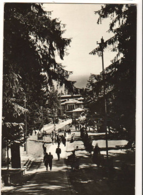 CPI B14284 CARTE POSTALA - SLANIC MOLDOVA foto