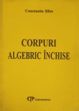 Corpuri Algebric Inchise - Constantin Bibu, Tehnopress 2010, Matematica, Carte in Romana