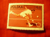 Serie 1 valoare Polonia 1981- Sport - 60 Ani Tenis, Nestampilat