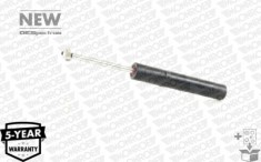 MONROE 376243SP OESpectrum &quot;Premium&quot; amortizor