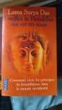 Eveillez le Bouddha qui est en Vous - Lama Surya Das