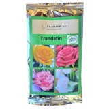 Insecticid, Trandafiri + ingrasamant , Bio, natural, repelent, organic 100%, 51g
