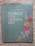 FLORILE DIN GRADINA MEA - AL. BORZA