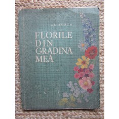 FLORILE DIN GRADINA MEA - AL. BORZA