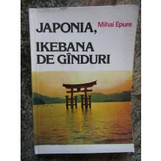 Japonia, ikebana de ganduri &ndash; Mihai Epure