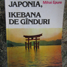 Japonia, ikebana de ganduri – Mihai Epure