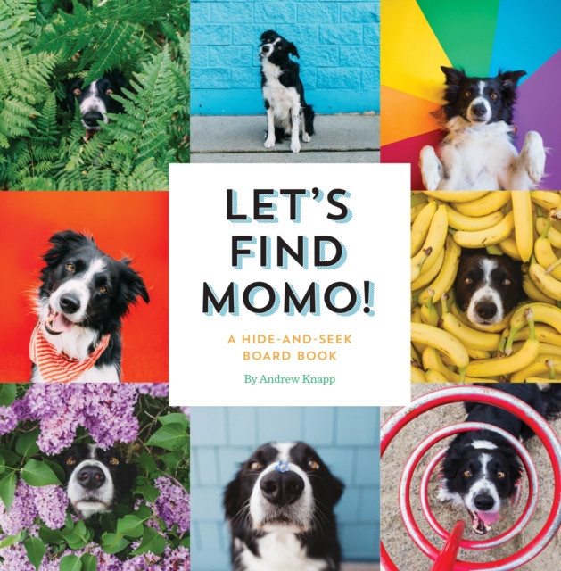 Let&#039;s Find Momo!: A Hide-And-Seek Board Book