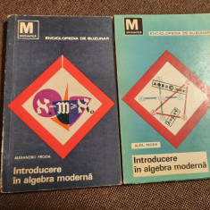 INTRODUCERE IN ALGEBRA MODERNA - ALEXANDRU FRODA 2 VOLUME