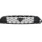 Grila masca radiator Ford Mustang, 01.2015-07.2018, Fata, Aftermarket