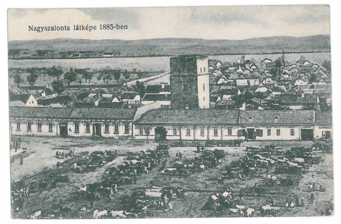 1535 - SALONTA, Bihor, Market, Romania - old postcard - unused - 1918