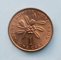 JAMAICA - 1 Cent 1973 - F.A.O. foto