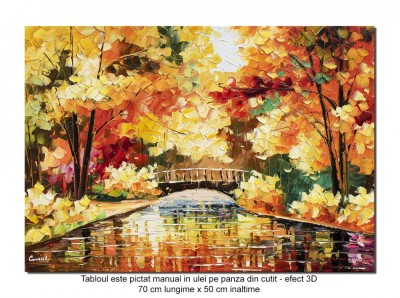 Tablou pictat manual, Podul japonez, 70x50cm ulei pe panza in cutit efect 3D foto