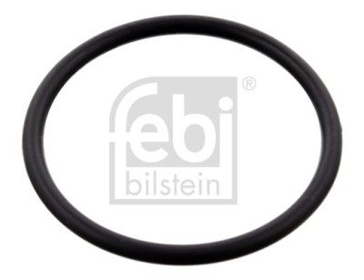 FEBI BILSTEIN 100077 Garnitura, carcasa termostat foto