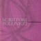 Scriitori polonezi - studii monografice -
